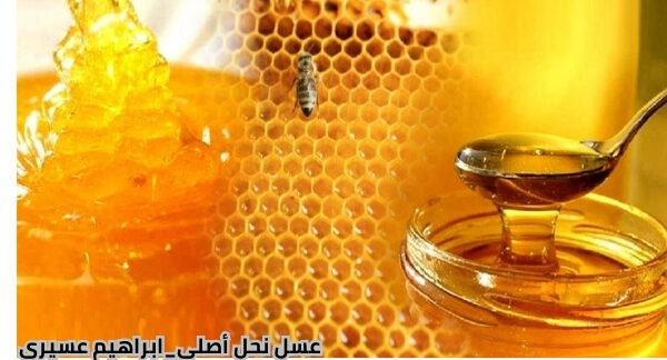 عسل نحل أصلي