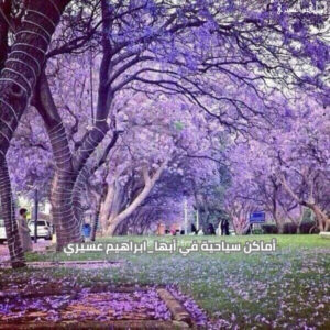 أماكن سياحية في أبها