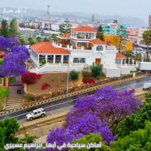أماكن سياحية في أبها