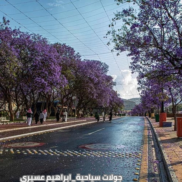 جولات سياحية