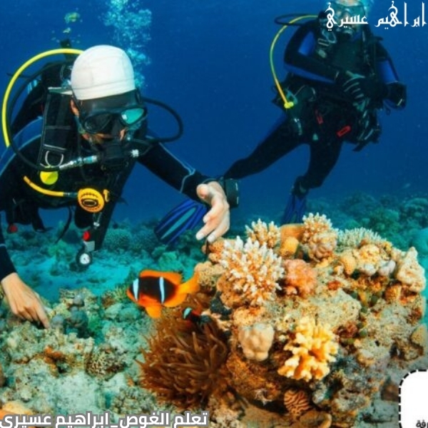 تعلم الغوص