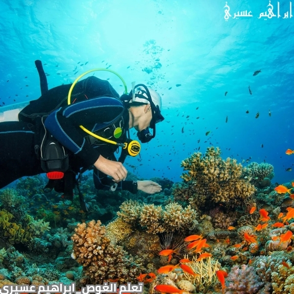 تعلم الغوص