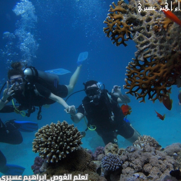 تعلم الغوص