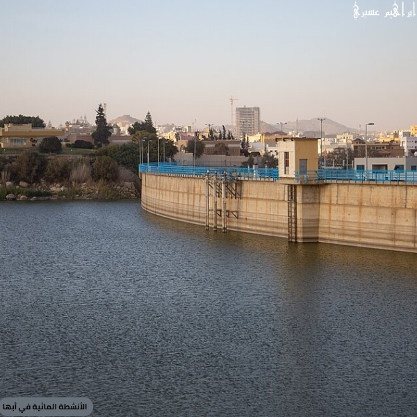 الأنشطة المائية في أبها