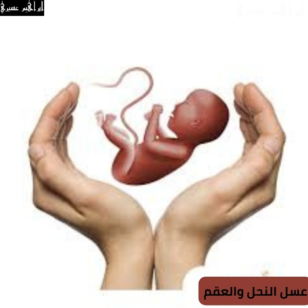 عسل النحل والعقم
