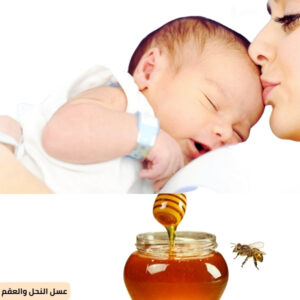 عسل النحل والعقم