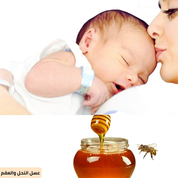 عسل النحل والعقم