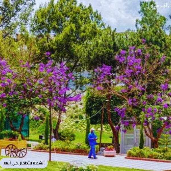 أنشطة للأطفال في أبها