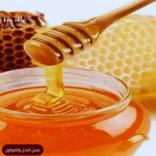 عسل النحل والقولون